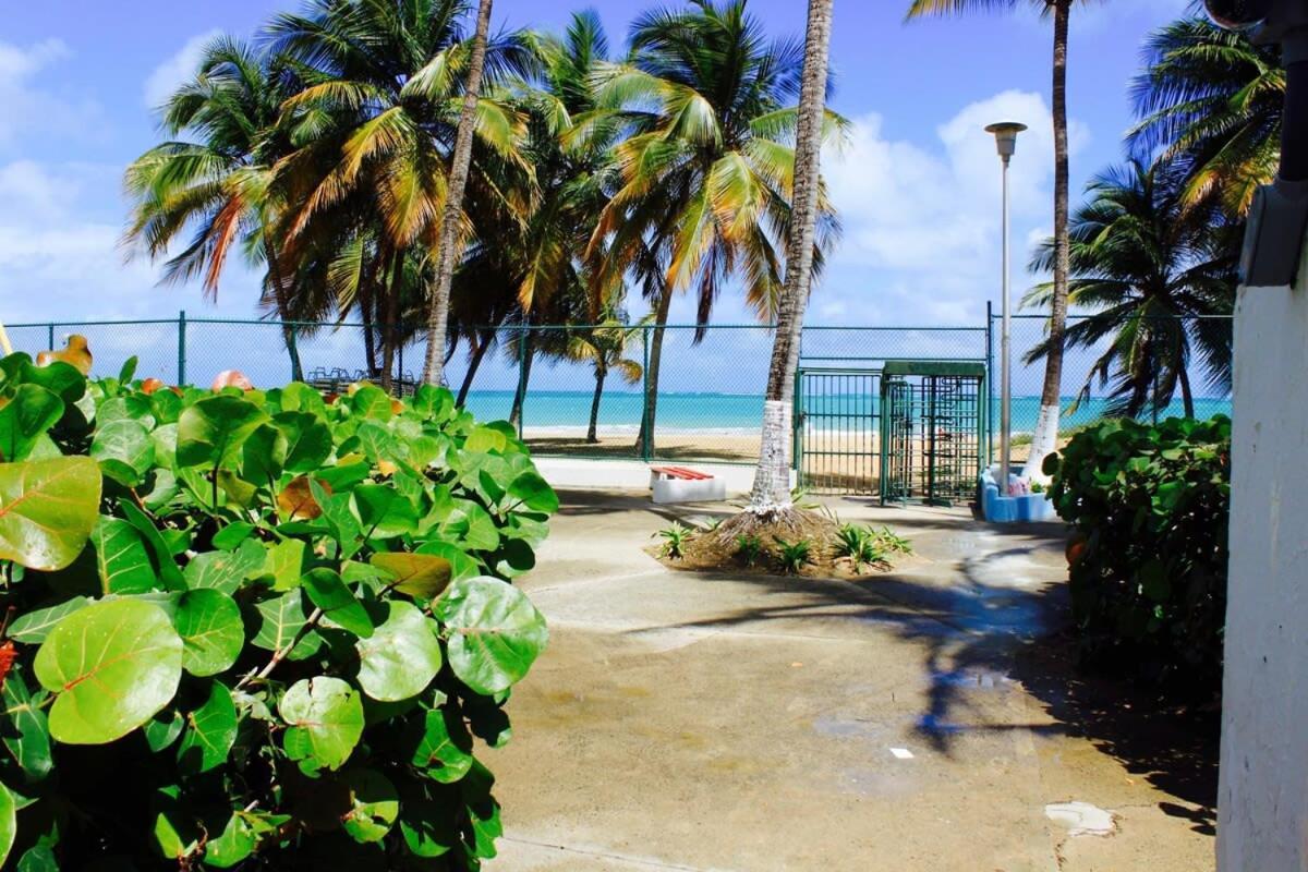 2Br Gem Ocean Front Building Isla Verde Beach سان خوان المظهر الخارجي الصورة